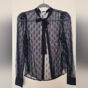 Sheer Embroidered Lace Blouse